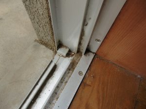 サッシ清掃作業前