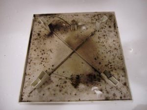 換気扇カバー作業前