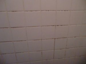 壁面タイル作業前